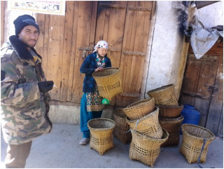  बाजुराको उत्पादन हुम्लामा प्रयोग 