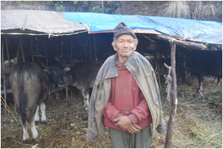  म्याग्दीका घुम्ती गोठ रित्तिँदै  