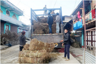चिराइतो मूल्य बढ्दो, उत्पादन घढ्दो  