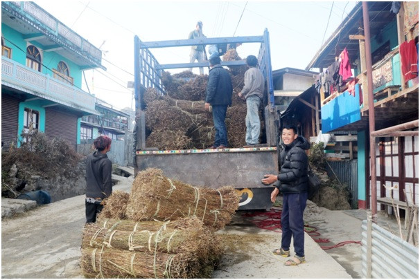 चिराइतो मूल्य बढ्दो, उत्पादन घढ्दो  