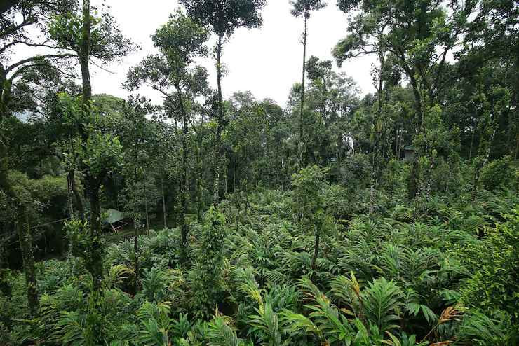      नेपालको ‘तराई भू–परिधि’ विश्व सूचीमा समावेश 