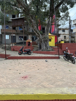  मातातीर्थको ल्होंखा दबुमा ऐतिहासिक सिकाली नाच प्रदर्शन गरिँदै   