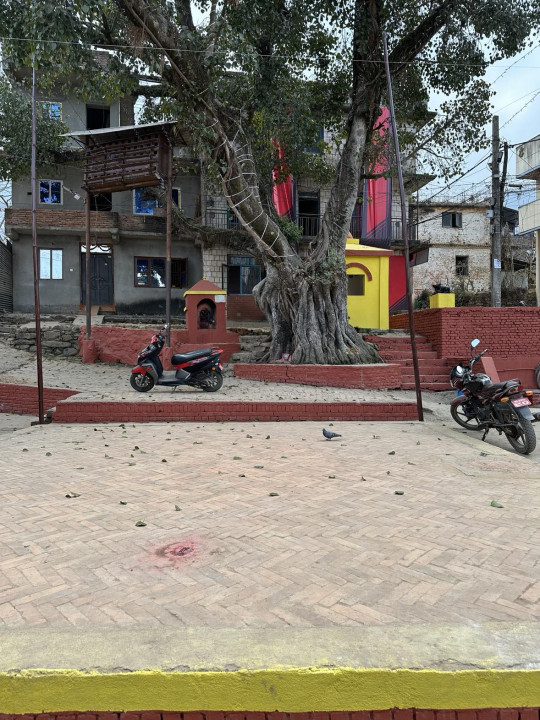  मातातीर्थको ल्होंखा दबुमा ऐतिहासिक सिकाली नाच प्रदर्शन गरिँदै   