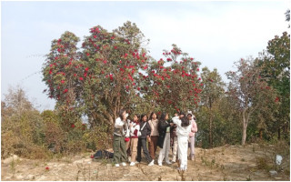 राइनासकोटमा लालिगुराँसले आकर्षित गर्दै पर्यटक  