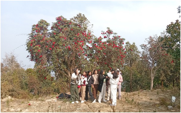 राइनासकोटमा लालिगुराँसले आकर्षित गर्दै पर्यटक  