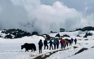 कालापत्थरमा महिला दिवस मनाइने 