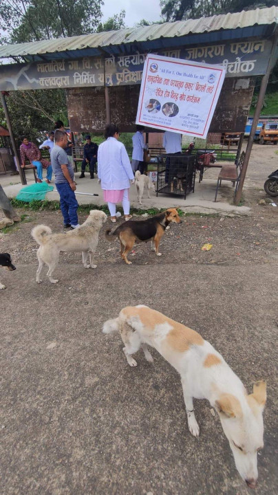 चन्द्रागिरिमा रेबिज बिरुद्धको खोप अभियान