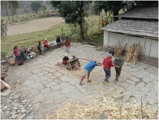 उखु, अमिलो र तोरी पेल्ने परम्परागत ‘कोल’ लोप हुँदै   