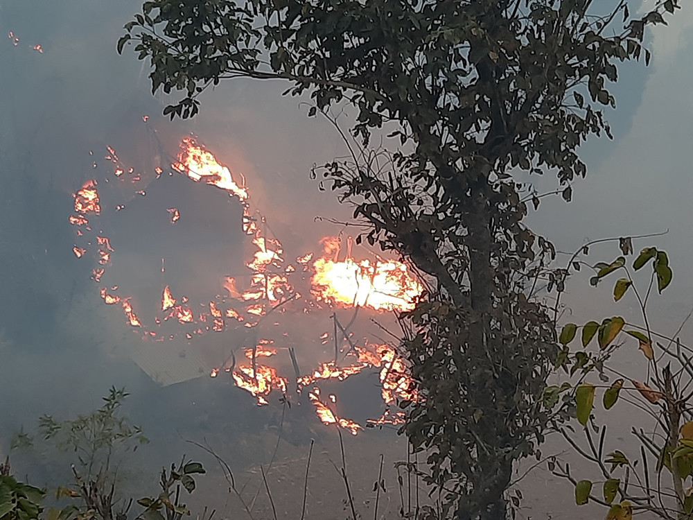सातवर्षमा वन डढेलोका दुई हजार १५९ घटना, ३० जना व्यक्तिको मृत्यु