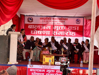 चन्द्रागिरिका वडाहरुलाई धमाधम ‘बालश्रममुक्त वडा’  घोषणा गरिँदै