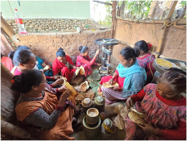 दुनाटपरी उद्योगबाट राम्रो आम्दानी   