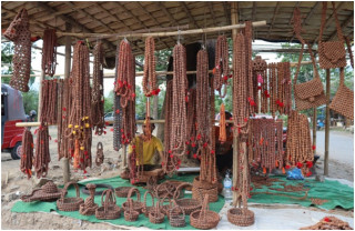 रुद्राक्षको व्यापारबाट मनग्य आम्दानी गर्दै सन्तोष   