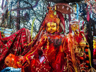 पाथीभरामा ६९ लाखभन्दा बढी भेटी सङ्कलन  