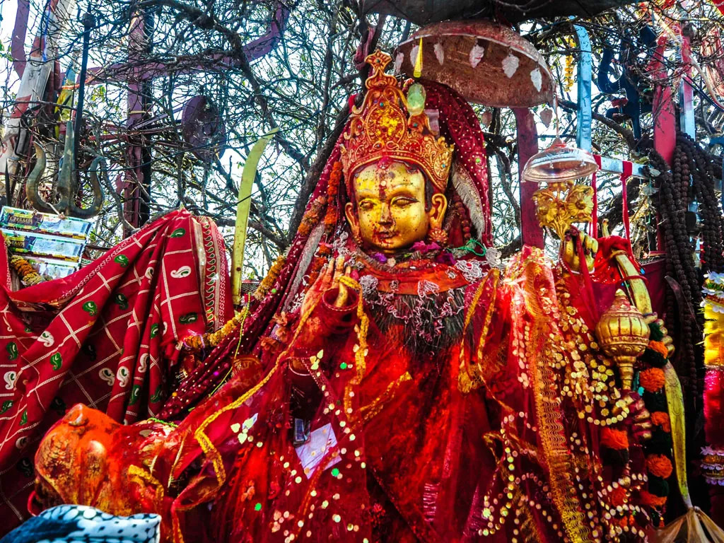 पाथीभरामा ६९ लाखभन्दा बढी भेटी सङ्कलन  