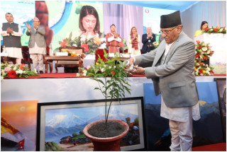 भव्य सभाहलभित्र राखिएको गमलाको विरुवामा करुवाले पानी सिञ्चित गरेर प्रधानमन्त्रीद्वारा ‘अन्तर्राष्ट्रिय संवाद’ उद्घाटन 