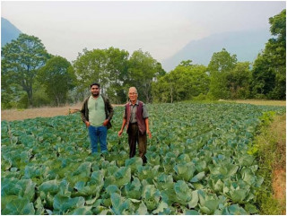 कृषि र व्यवसायमार्फत सबल बन्दै ग्रामीण अर्थतन्त्र   