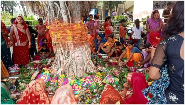 मिथिलाञ्चलमा वटसावित्री पर्व मनाइँदै 