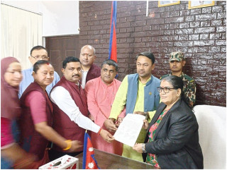 मधेस प्रदेशमा जनमतका सिंहद्वारा प्रदेश प्रमुखसमक्ष दाबी पेस  