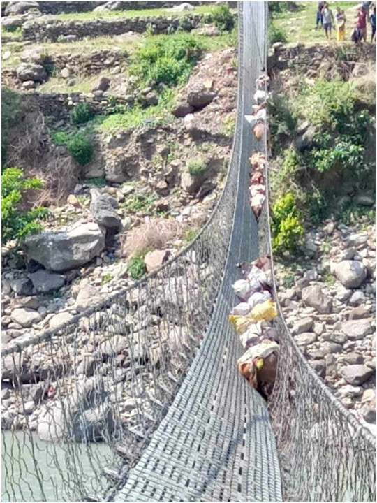 जाली लत्रिँदा १३ खच्चड कर्णालीको झोलुङ्गे पुलमा अड्किए  