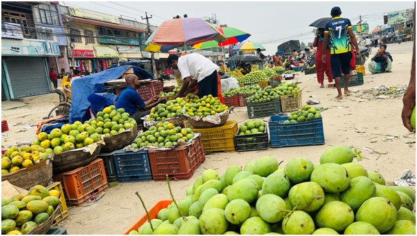 मागअनुसार पुर्‍याउन नसक्ने भएकाले यसवर्ष लहान क्षेत्रमा उत्पादन हुने मालदह र बम्बइ प्रजातिको आँपलाई ब्राण्डिङ गरिएन