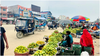 आँपको राजधानीमा  बजार व्यवस्थित नहुँदा सडकमै आँप किनबेच  