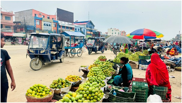 आँपको राजधानीमा  बजार व्यवस्थित नहुँदा सडकमै आँप किनबेच  