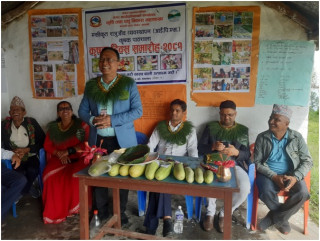 अतिथिलाई काँक्रा उपहार   