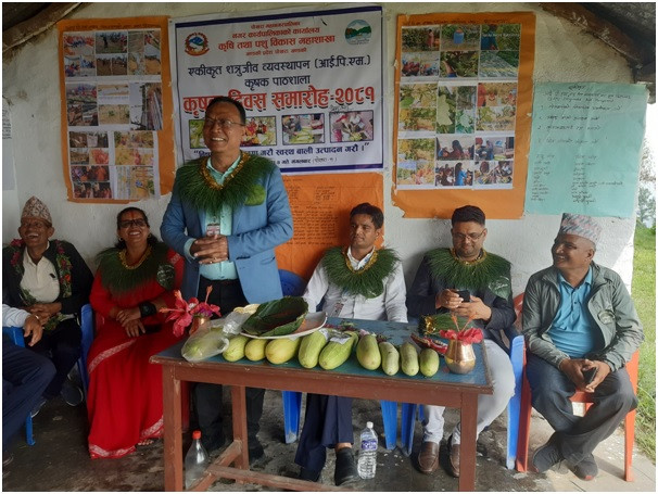अतिथिलाई काँक्रा उपहार   