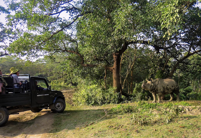 असार १६ गतेदेखि निकुञ्ज सफारी बन्द हुने   
