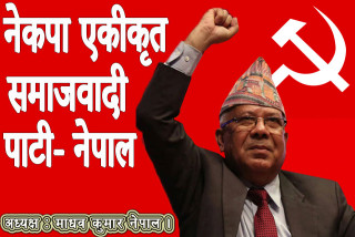 एकीकृत समाजवादीको अध्यक्षमा नेपाल र महासचिवमा भूसाल सर्वसम्मत