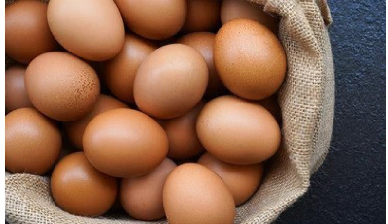      अण्डा उत्पादक ७५ प्रतिशत किसान विस्थापित   