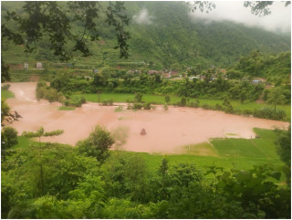 धादिङको  कोशीखोलामा आएको बाढीले  नुवाकोटको  सयौँ रोपनी धानखेत बगरमा परिणत   