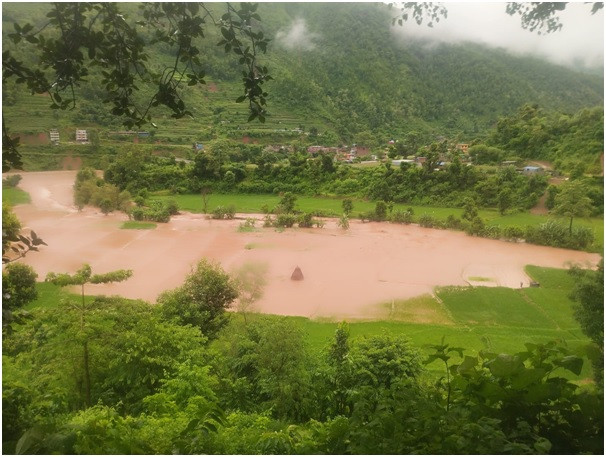 धादिङको  कोशीखोलामा आएको बाढीले  नुवाकोटको  सयौँ रोपनी धानखेत बगरमा परिणत   