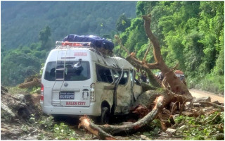 गुडिरहेको माइक्रो बसमाथि रुख ढल्दा नौ यात्रु घाइते 