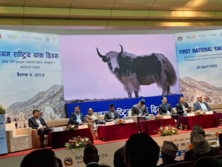 पहिलो पटक मनाईयो राष्ट्रिय याक दिवस , याकको संरक्षण र प्रवद्र्धनका लागि सङ्गठित प्रयास आवश्यक छ ःकृषिमन्त्री अधिकारी
