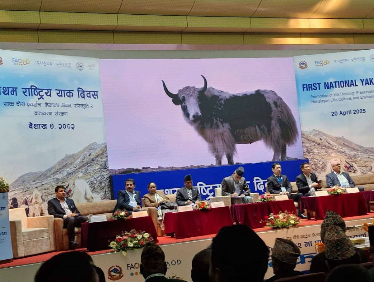 पहिलो पटक मनाईयो राष्ट्रिय याक दिवस , याकको संरक्षण र प्रवद्र्धनका लागि सङ्गठित प्रयास आवश्यक छ ःकृषिमन्त्री अधिकारी