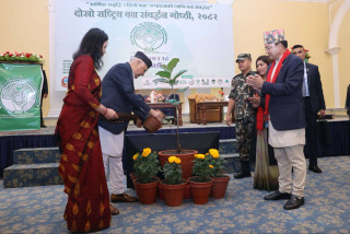 सालघारीको फडानी हुने क्रमलाई कडाइका साथ रोकिनेछ : प्रधानमन्त्री