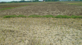 मधेश प्रदेशमा सङ्कटग्रस्त क्षेत्रमा काम गर्न  केन्द्र सरकारको अधिकार प्रत्यायोजन जरुरी