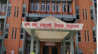 उखु किसानलाई अनुदान रकम निकासा, पर्सी सम्म किसानको खातामा रकम पुग्ने